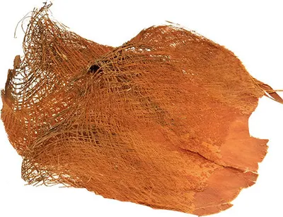 Produktbild von Palmfaser Natur 1kg - Deko Basteln Floristik Afrika