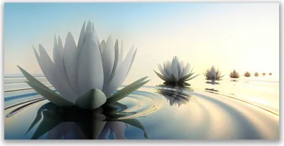 Produktbild von Glasbilder 120x60 Wandbild Druck auf Glas Blumen Wasser Kunst