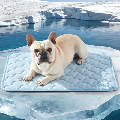 Produktbild von Kühlmatte für Hunde, Selbstkühlend, Waschbar, Blau, 65x50cm