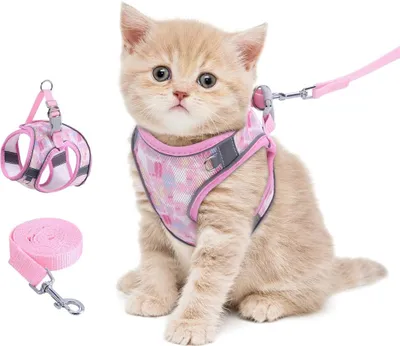 Produktbild von Brifit Katzengeschirr mit Leine 150cm, Katzengeschirr Ausbruchsicher & Hochwertig Softgeschirr für Katzen Hunde, Katzenleine mit Geschirr