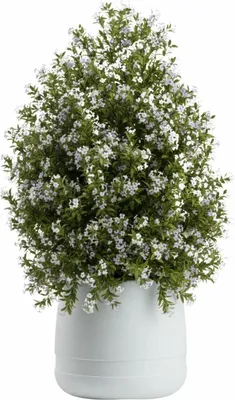 Produktbild von HowHomely | Blumentopf - Pflanzgefäß - weiß - B42xH32 cm - Übertopf - Blumenkübel - Dekorativ