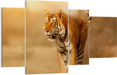 Produktbild von Bild auf Leinwand - Leinwandbild - tiger tier - 120x70cm - Wand Bild - Wanddeko - Wandbilder - Leinwanddruck - Bilder - Kunstdruck - Wanddekoration - Leinwand bilder - Wandkunst - DL120x70-3946