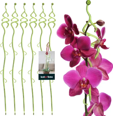 Produktbild von KOTARBAU® 6er Set Pflanzenstütze Grün PVC 55 cm Tannenbaum Blumenstütze Rankhilfe Zimmerpflanzen Blumenstütze Garten Orchideenstab Stützstab Pflanzen dekorative Pflanzenhalter Zimmerpflanzen Rankstäbe