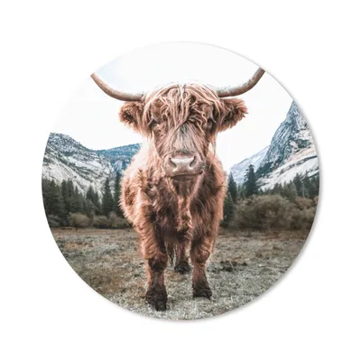 Produktbild von MuchoWow® Mauspad Mousepad Schottischer Highlander - Berg - Tiere 30x30 cm - Mousepads - Maus Mat - Pad - Mausunterlage - Tischunterlage - Schreibtischmatten
