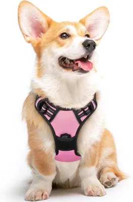 Produktbild von Famanu Hundegeschirr Anti-Zug für mittelgroße Hunde - verstellbares, gepolstertes Geschirr mit reflektierenden Streifen - rosa - Größe M