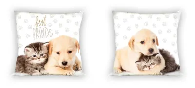 Produktbild von Kissenbezug, 100% Baumwolle, Kinderkissenbezug 40x40cm Hund und Katze