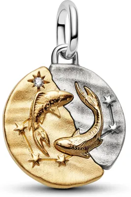 Produktbild von Pandora-Medaille, 925Er Silber 764991C01