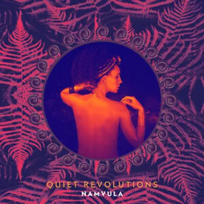 Obrázek produktu pro Namluvit si : Quiet Revolutions CD (2017)