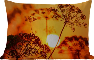 Produktbild von MuchoWow® Outdoor Kissen - Pflanzen - Blumen - Sonnenuntergang - Orange - 60x40 cm - Wetterfest - Lounge Kissen - Zierkissen - Kissen für Innenräume