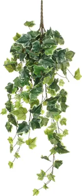 Produktbild von Mica Decorations Efeu hängende Kunstpflanze - H71 cm - Grün, Bunt