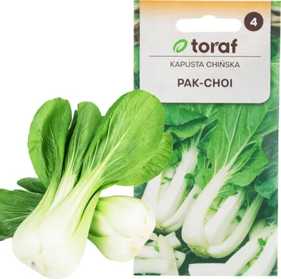 Produktbild von Chinesischer Pak Choi Kohl 1G Chinesische Kohlsamen Toraf
