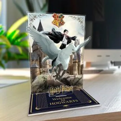 Produktbild von HARRY POTTER - Acryl® Diorama - Harry & Buck in Hogwarts