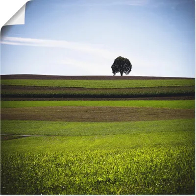Produktbild von ARTland Poster Der Baum Größe: 40x40 cm