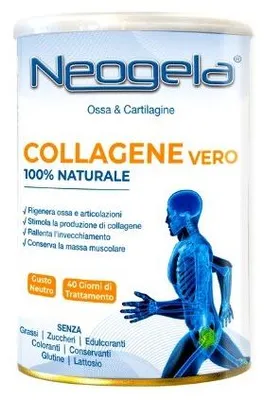 Immagine prodotto di Neogela Polvere 400 G