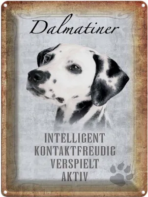 Produktbild von vianmo Blechschild 40x30 cm Dalmatiner Hund