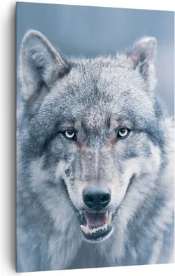 Produktbild von Bild auf Leinwand - Leinwandbild - Einteilig - Wolf Raubtier Wildheit - 80x120cm - Wand Bild - Wanddeko - Wandbilder - Leinwanddruck - Wanddekoration - Leinwand bilder - Wandbild - PA80x120-5073