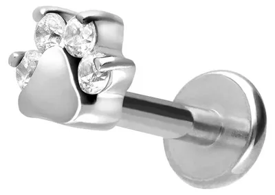 Produktbild von Ohrpiercing, Nasenpiercing Titan Labret mit Innengewinde KRISTALLPFOTE Silber Stablänge: 10mm | Stabstärke: 1,2mm