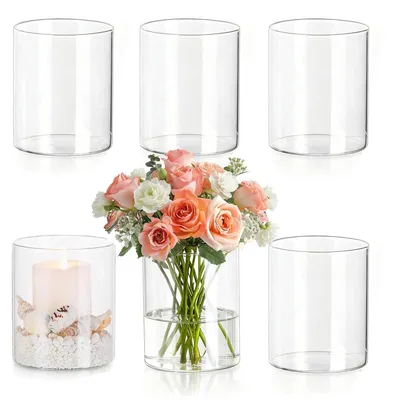 6er-Set Glaszylindervasen, 8 x 6,5 cm, klar