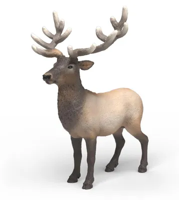 Immagine prodotto di Cervo selvatico americano Schleich
