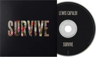 Produktbild von Lewis Capaldi: Survive EP