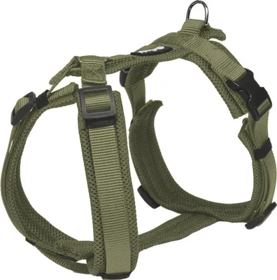 A dog harness is shown against a white background.