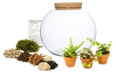 Zdjęcie produktu dla Gardners Szklany wazon z korkiem SAVE YOURSELF wilgotny, L