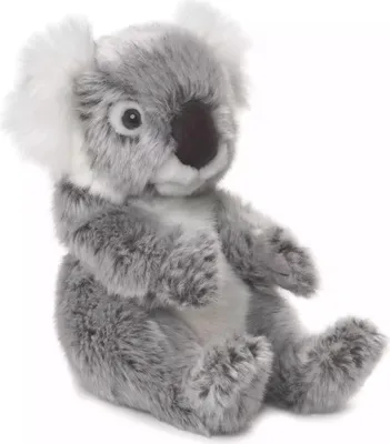 Zdjęcie produktu dla WWF 15186001, Zabawka koala