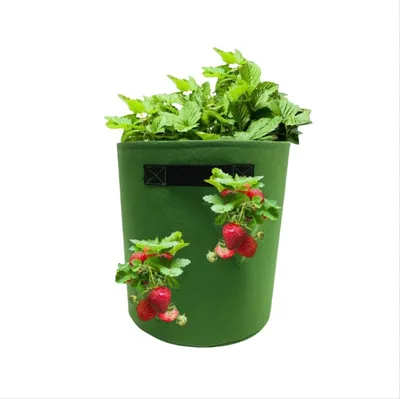 Produktbild von INF Filz Garten Gemüse Pflanze Anzuchtbeutel L