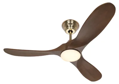 Immagine prodotto di ECO GENUINO L 122, Ventilatore con Luce, CasaFan