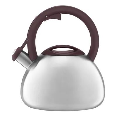 Produktbild von Flötenkessel Wasserkessel Induktion Teekessel Teekanne Pfeife Induktion 2,9 L