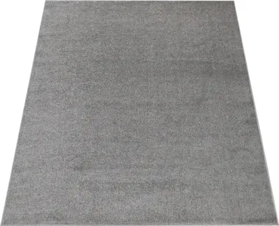 Image de Tapis pour salon, uni, à poils courts, sobre et moderne, gris foncé, dimensions 160 x 220 cm