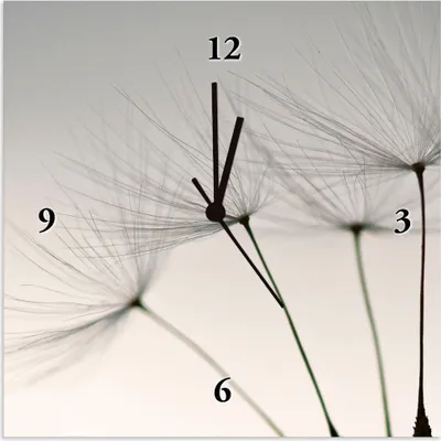 Produktbild von ARTland Wanduhr auf Alu Funkuhr - schwarzer Zeiger Pusteblumen-Samen I Größe: 30x30 cm