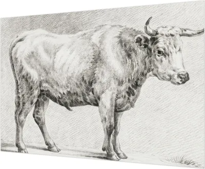 Zdjęcie produktu dla Tapeta ścienna – tapeta dekoracyjna do salonu – folia tapetowa do dekoracji ścian – 312 x 219 cm – Bullenstift