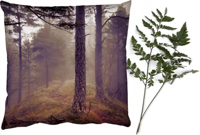 Produktbild von MuchoWow® Zierkissen Sofakissen Wohnzimmer Dekokissen 45x45 cm Nebel - Herbstdekoration - Natur - Wald - Schlafpolster - Polster für das Sofa