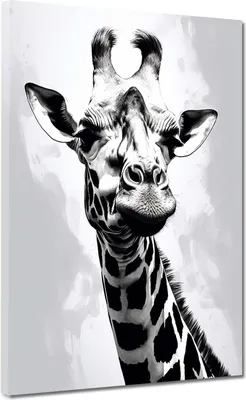 Produktbild von Giraffe schwarz weiß Tier Leinwandbild Wandbild Kunstdruck XL Deko: 90x120x2cm
