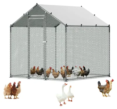 Imagen del producto de VEVOR - Gran gallinero de metal, 2 x 1 x 2 metros. Jaula para gallinas con techo impermeable y estructura resistente. Jaula para aves de corral con techo a dos aguas, ideal para gallinas, patos, conejos y gansos en exteriores, para jardines. Dimensiones: 2x2x2 metros
