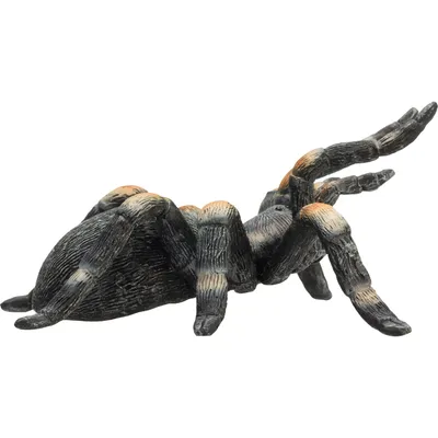 Produktbild von Mojo 387213 Animal Planet Tarantula ca. 7 x 7 x 4 cm