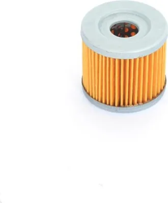 Immagine prodotto di Filtro olio Athena FFC003