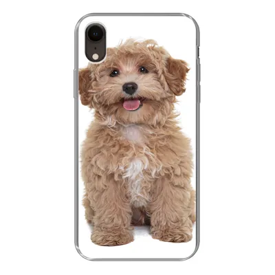 Produktbild von MuchoWow® Handyhülle Schutzhülle Hülle für iPhone XR Hund - Haustiere - Fell Silikon Softcase Handy Hülle - Schutzdeckel