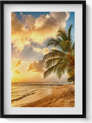 Produktbild von Palmenstrand und Meer bei Sonnenuntergang– Wandbild mit Rahmen – Gerahmtes Bild  – Wanddekoration – 50x70 cm –  Schwarz Rahmen