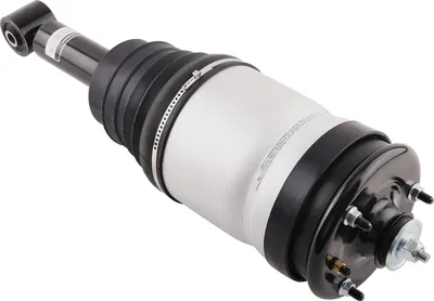 Image de Jambe de suspension pneumatique Arriššre pour Land Rover Discovery 3 4 L319 LR038096