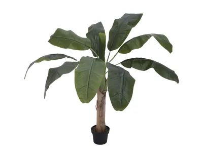 Produktbild von EUROPALMS Bananenbaum, Kunstpflanze, 100cm (82509503)