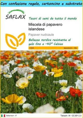 Immagine prodotto di SAFLAX Set regalo - Miscela di papavero islandese - 8000 semi - Papaver