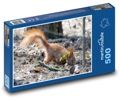 Zdjęcie produktu dla martinpuzzle - Puzzle 500 elementów - Veverka