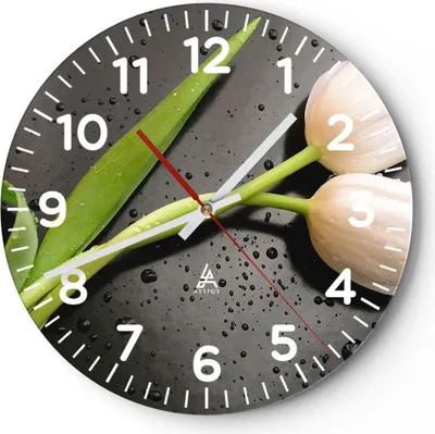 Produktbild von Wanduhr - Rund - Glasuhr - Tulpen Blume Pflanzung Pflanze - 30x30cm - Schleichendes Uhrwerk - Lautlos - zum Aufhängen bereit - Dekoration Modern - Wanddekoration aus Glas - C4AR30x30-2301
