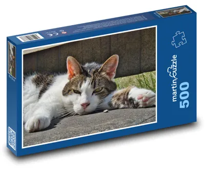 Zdjęcie produktu dla martinpuzzle - Puzzle 500 - Kotek - Zwierzę domowe