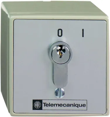 Immagine prodotto di Quadro elettrico Schneider Electric XAPS11111N