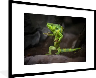 Produktbild von MuchoWow® MuchoWow® Gerahmtes Poster Tanzendes Chamäleon 90x60 cm - Poster mit zchwarzem Bilderrahmen - Wanddekoration - Fotos