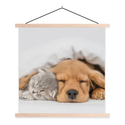 Produktbild von MuchoWow® Textilposter Haustiere - Hund - Katze - Decke 60x60 cm mit holzfarbenen Rahmen - Wanddekoration