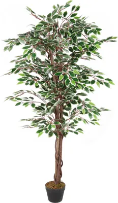 Produktbild von LEX künstlichee Pflanze Ficus 1008 Blätter ca. 160 cm